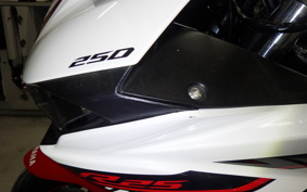 YAMAHA YZF-R25 2018 RG10J