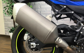 SUZUKI GSX-R1000R ABS 2017 DM11G