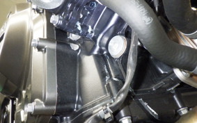SUZUKI Vストローム800 2024 EM1BA