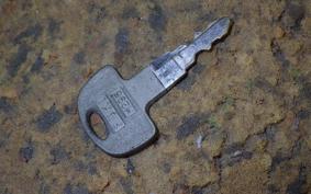 HONDA NAUTY DAX CY50