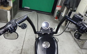 HARLEY XL883N 2019