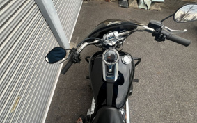 HARLEY FLSB 2025 YMJ