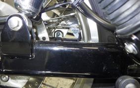 KAWASAKI W800 2021 EJ800B