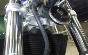 HONDA VTR 250 Gen. 2 MC33