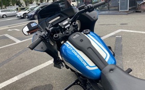 HARLEY  HARLEY FXLRST 2023 YXZ