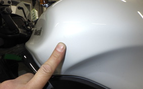 KAWASAKI NINJA1100SX 2025 ZXT10H