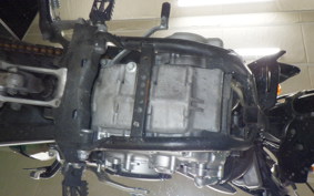 YAMAHA WR250X 2009 DG15J