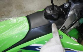 KAWASAKI KX250 2025 KX252E