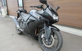 KAWASAKI NINJA 250R EX250K