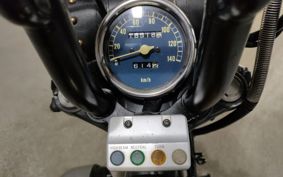 YAMAHA VIRAGO 250 3DM