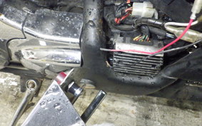 HONDA STEED 400 1995 NC26