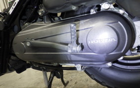 HONDA ZOOMER 2007 AF58