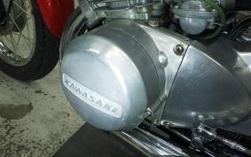 KAWASAKI 250SS 2024 S1F