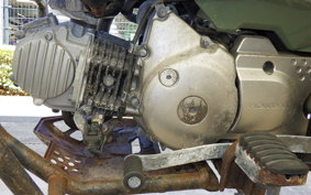 HONDA CT125 HUNTER CUB 2025 JA55