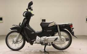 HONDA C110 SUPER CUB 2009 JA10