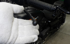 HARLEY RH975S 2024