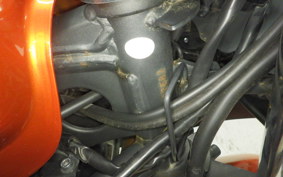 KAWASAKI NINJA 250 EX250L