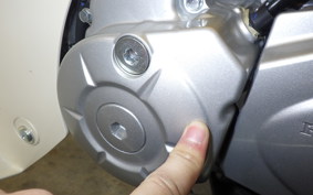 HONDA C50 SUPER CUB 2021 AA09