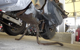 HONDA ZOOMER AF58