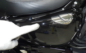 HARLEY XL1200X 2019