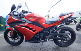 KAWASAKI NINJA 250 EX250L