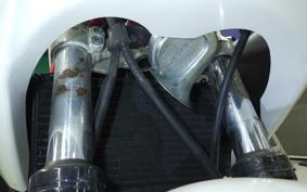 YAMAHA TRX850 1995 4NX