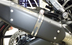 KAWASAKI NINJA 1000 SX 2023 ZXT02K