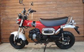 HONDA  DUX 125 JB04