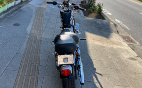 HARLEY HARLEY XLH883 CAM