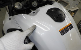 YAMAHA TENERE 700 2020 DM09J