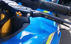 SUZUKI GSX-R1000R ABS 2018 DM11G