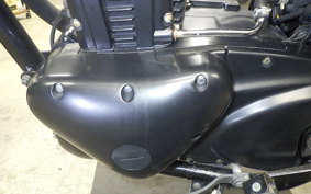 KAWASAKI 250TR 2021 BJ250F