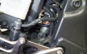 HONDA CBR400R 2024 NC56