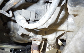 HONDA BENLY 50 AA05