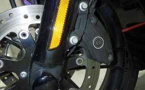 HARLEY FLTRXSE1920CVO 2018