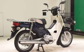 HONDA C110 SUPER CUB 2018 JA10