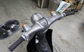 HONDA LITTLE CUB E AA01