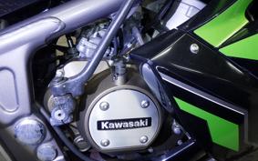 KAWASAKI Ninja 150RR