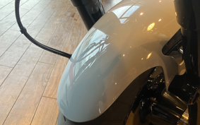 HARLEY FLFB 2025 YF9