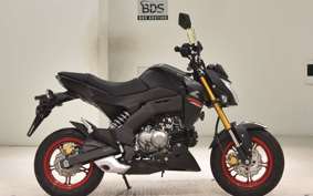 KAWASAKI Z125 PRO BR125H