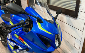 SUZUKI GSX-R1000R ABS 2018 DM11G
