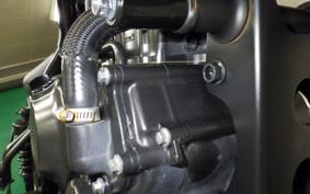 HONDA REBEL 250 A MC49