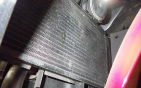 KAWASAKI NINJA 250 SL BX250A