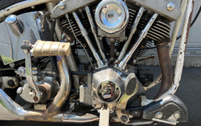HARLEY FXE1200 2024 445