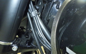 KAWASAKI W800 CAFE 2020 EJ800B