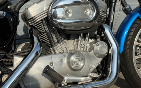 HARLEY XL883 2004 CAM