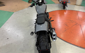 HARLEY FXFBS 2024 YLK