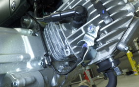 HONDA ｸﾛｽｶﾌﾞ50 AA06