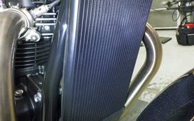 TRIUMPH SPEED TWIN 2026