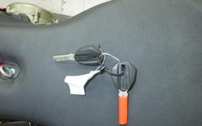 DUCATI 1299 PANIGALE S 2015